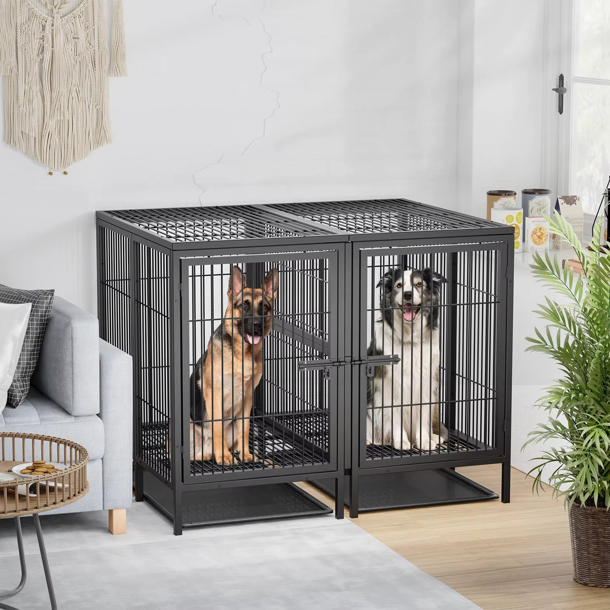 Heavy Duty Dog Crate: 52Inch Extra Large Pet Raised Metal Cage with Removable Divider - Doggy Kennel Training Playpen House