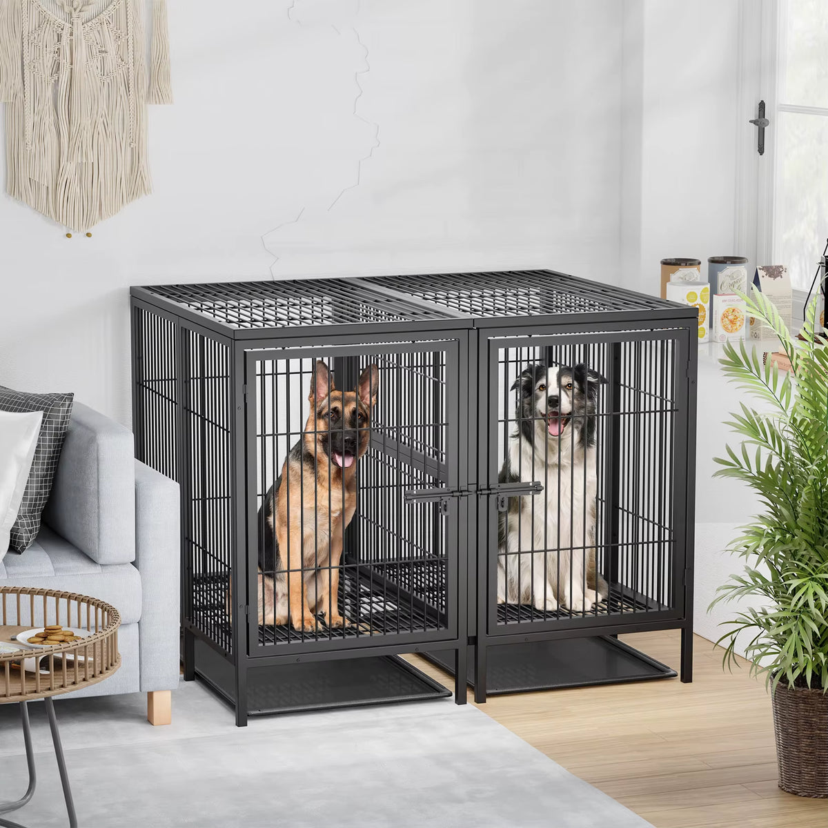 Heavy Duty Dog Crate: 52Inch Extra Large Pet Raised Metal Cage with Removable Divider - Doggy Kennel Training Playpen House